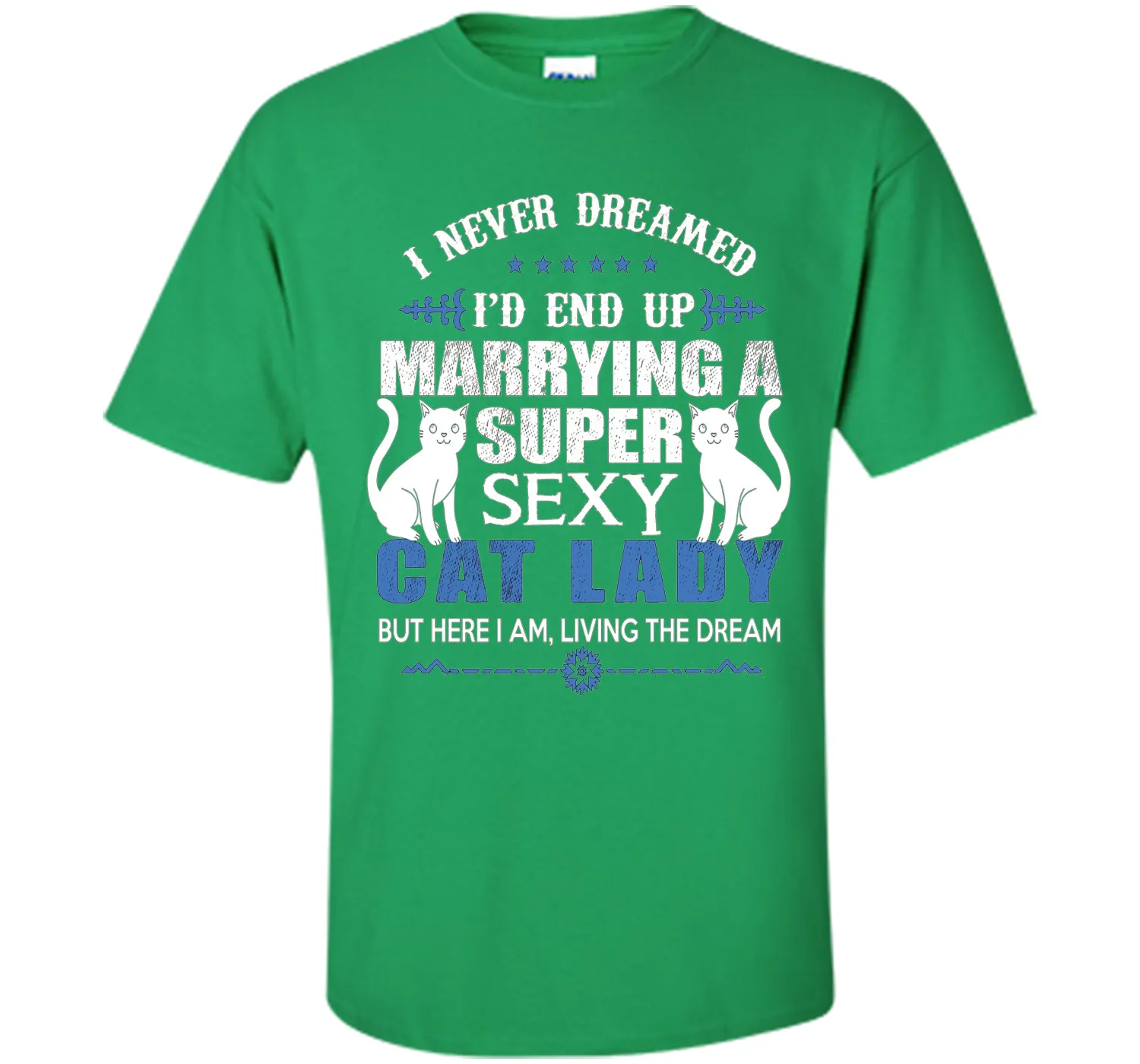 I Never Dreamed I'd end up marrying a super sexy cat lady