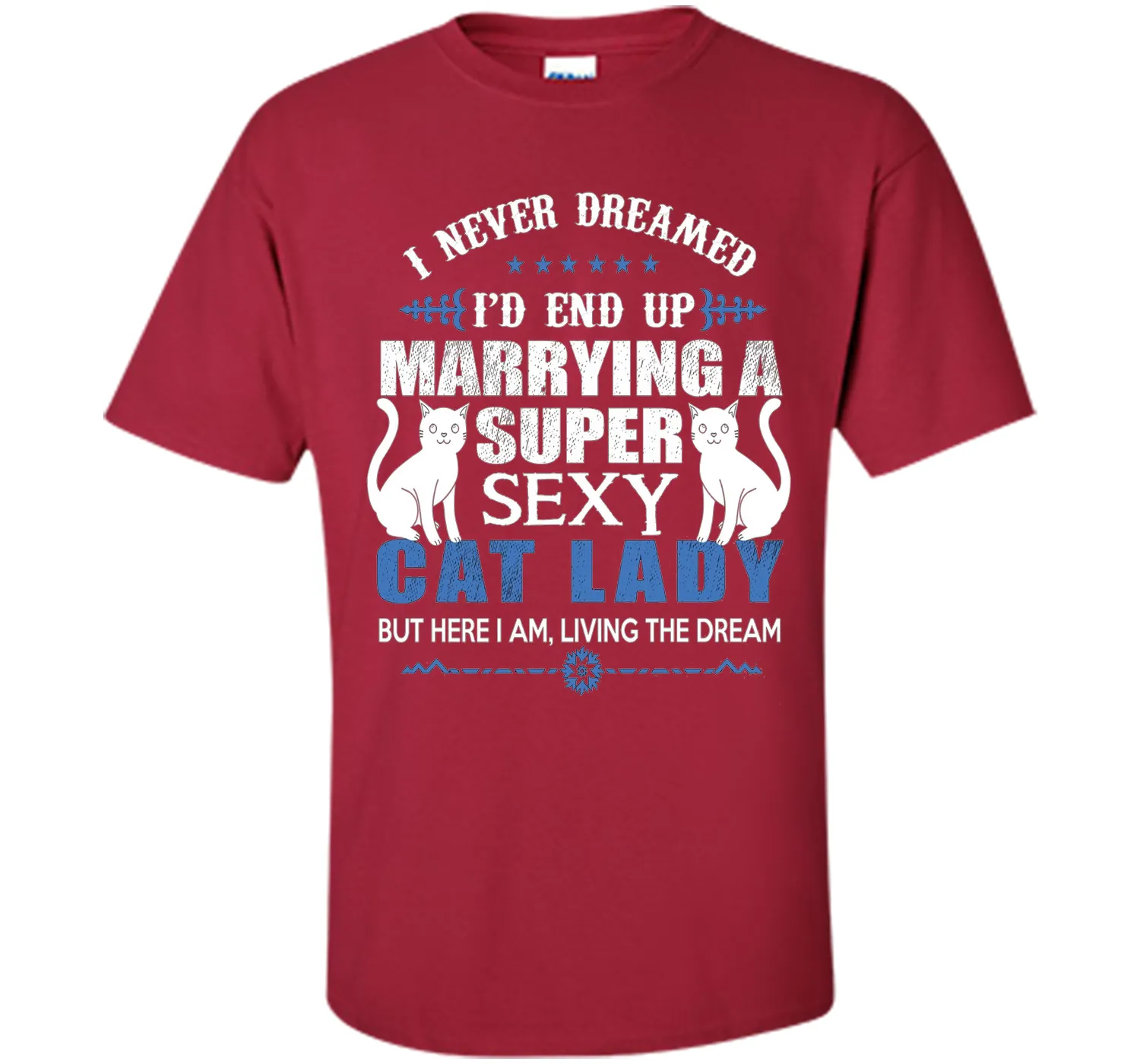 I Never Dreamed I'd end up marrying a super sexy cat lady
