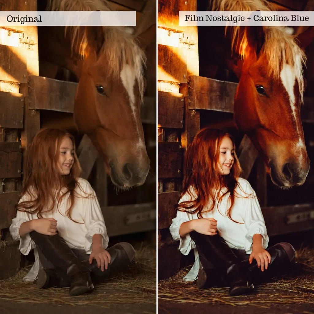 Luxe Preset Bundle (32 collections) for Lightroom & Photoshop – Desktop & Mobile