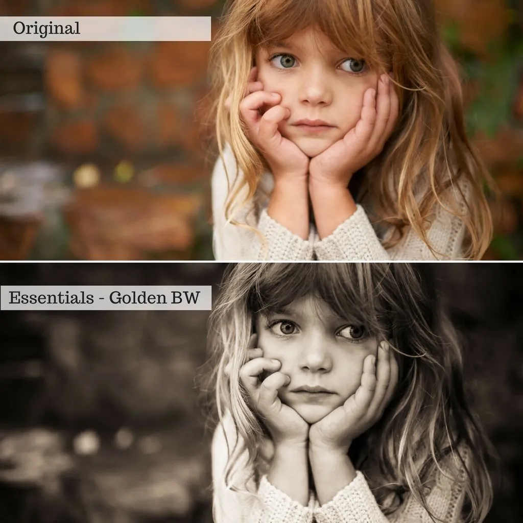 Luxe Preset Bundle (32 collections) for Lightroom & Photoshop – Desktop & Mobile