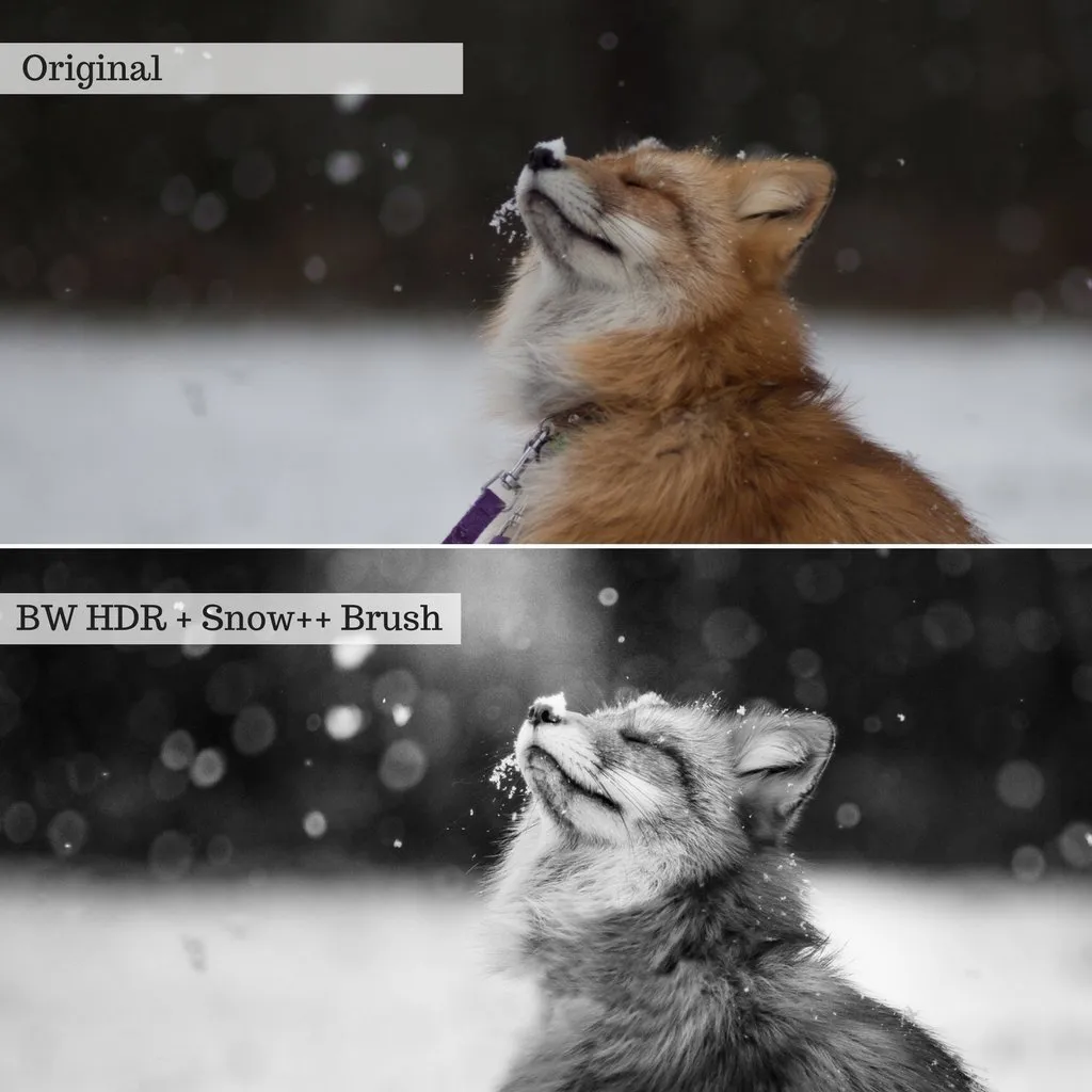 Luxe Preset Bundle (32 collections) for Lightroom & Photoshop – Desktop & Mobile