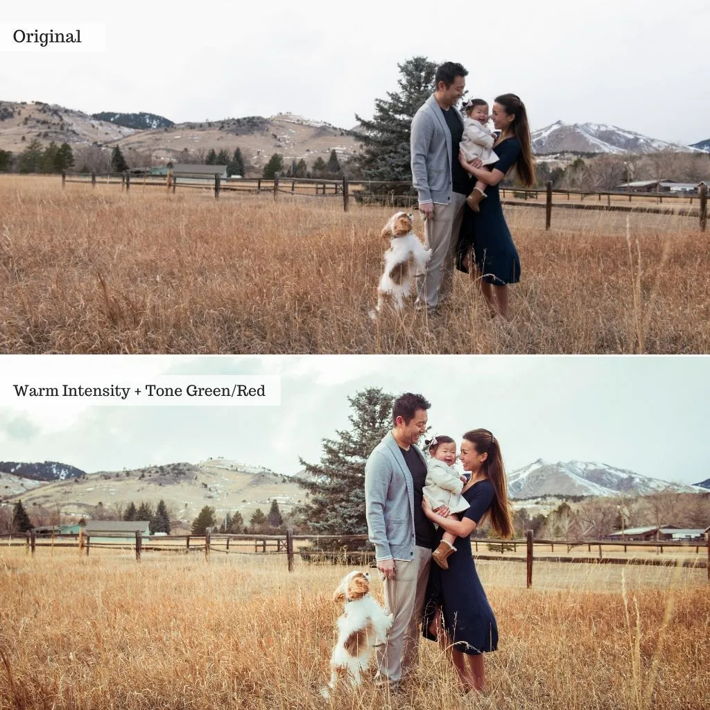 Luxe Preset Bundle (32 collections) for Lightroom & Photoshop – Desktop & Mobile
