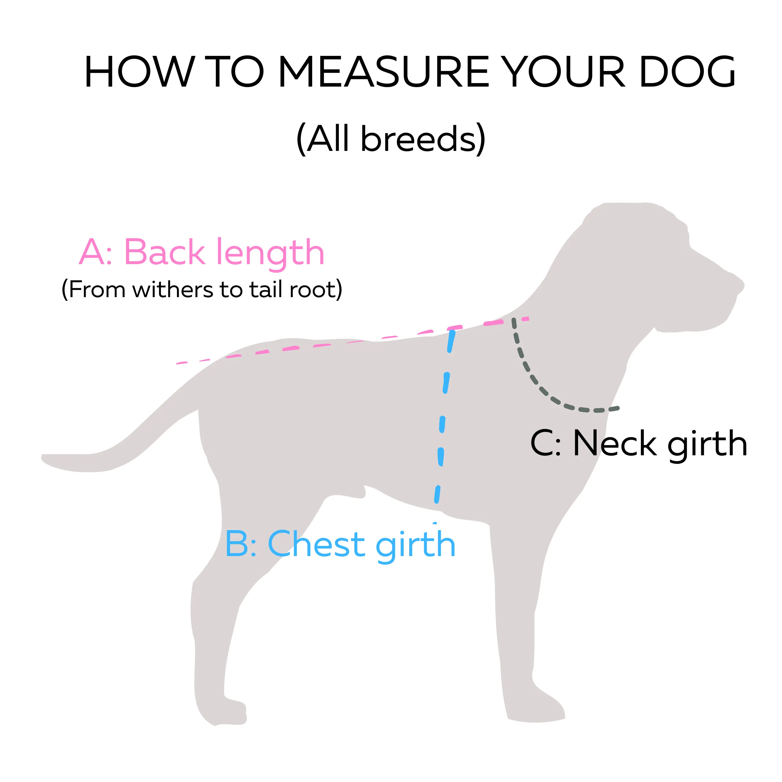 Turtleneck Dog Coat | Scuba